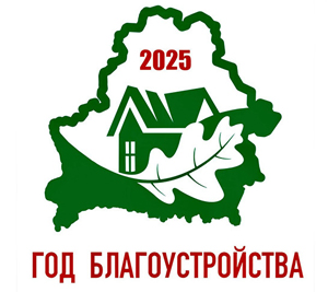 2025 Год благоустройства