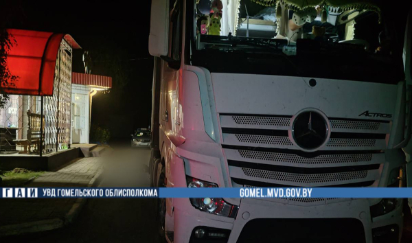 ДТП в Криничном: под колесами фуры погиб местный житель