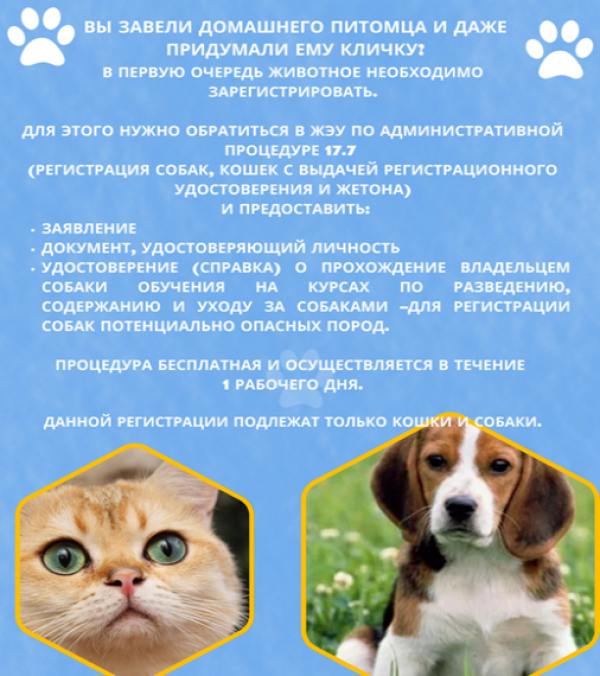 Владельцам кошек и собак