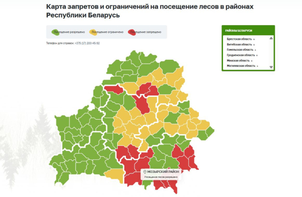 Пожароопасная ситуация на Мозырщине стабилизировалась: снят запрет на посещение лесов