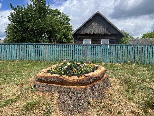 Гражданская инициатива в аг.Мелешковичи Мозырского района