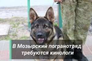 В Мозырский пограничный отряд требуются кинологи
