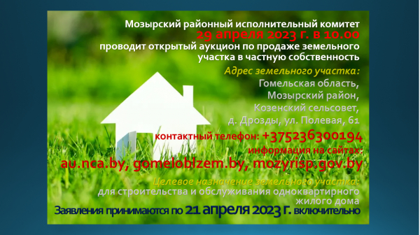 Аукцион!
