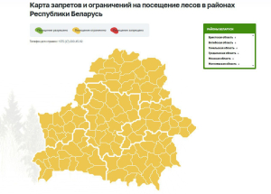 Ограничения на посещение лесов действуют во всех районах Гомельской области