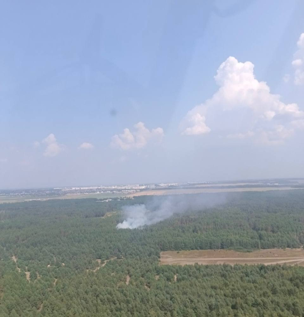 Совместными усилиями ликвидировано возгорание в Боковском лесничестве